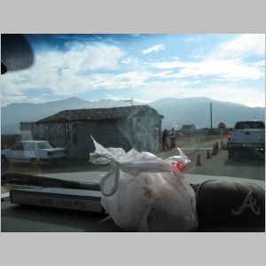 baja 317.jpg